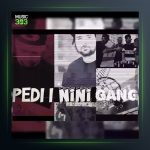 دانلود آهنگ نینی گنگ از پدی آی