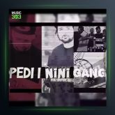 دانلود آهنگ نینی گنگ از پدی آی