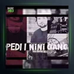 دانلود آهنگ نینی گنگ از پدی آی