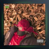 دانلود آهنگ پاییزه از پدی آی