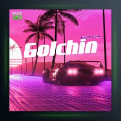 آهنگ گلچین از نگین