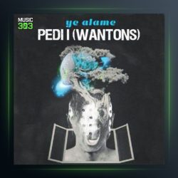 دانلود آهنگ یه عالمه از پدی آی