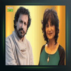 آهنگ ساز و آواز درآمد اشاره به دشتی از علیرضا شاه محمدی