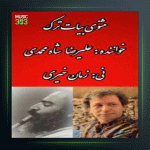 آهنگ ساز و آواز مثنوی آواز بیات ترک از علیرضا شاه محمدی