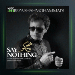 آهنگ هیچ مگو از علیرضا شاه محمدی