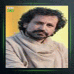 آهنگ چهارمضراب حسینی (روزنه دل) از علیرضا شاه محمدی