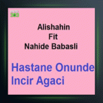 آهنگ Hastane Onunde Incir Agaci از ناهیده باباشلی و علی شاهین