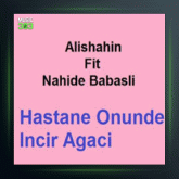 آهنگ Hastane Onunde Incir Agaci از ناهیده باباشلی و علی شاهین