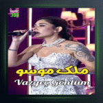 آهنگ Vazgec Gonlum از ملک موسو