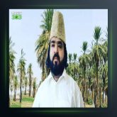 آهنگ برگ چنار از قنبر نارویی