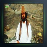 آهنگ در این شهر غریبی از قنبر نارویی