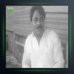 آهنگ نمیچینم گلی از سجاد رزمجو