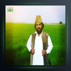 آهنگ یا دلبر از قنبر نارویی