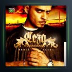 آهنگ Yerli Plaka از جزا