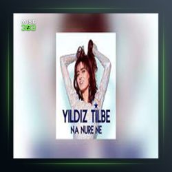 آهنگ Dizine Dursun از ییلدیز تیبله