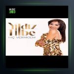 آهنگ Hiç Vermicem از ییلدیز تیبله