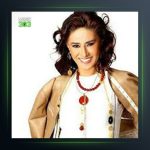 آهنگ Yine Sevebilirim از ییلدیز تیبله