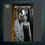 آهنگ Senden Başka Bir Şey Bulamam از ییلدیز تیبله