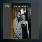 آهنگ Senden Başka Bir Şey Bulamam از ییلدیز تیبله