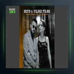 آهنگ Senden Başka Bir Şey Bulamam از ییلدیز تیبله