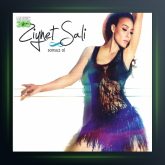 آلبوم Sonsuz Ol از زینت سالی