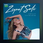 آهنگ Adresi Sormadım از زینت سالی