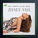 آهنگ Bir Garip Olur İçim از زینت سالی