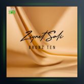 آهنگ Bronz Ten از زینت سالی
