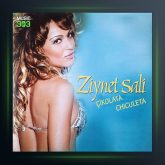 آهنگ Çikolata از زینت سالی