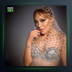 آهنگ Daha Nasıl Sevebilirim از زینت سالی