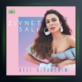 آهنگ Deli Divanenim از زینت سالی