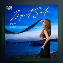 آهنگ Duy İstanbul از زینت سالی