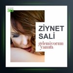 آهنگ Gelemiyorum Yanina از زینت سالی