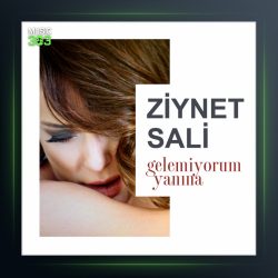 آهنگ Gelemiyorum Yanina از زینت سالی