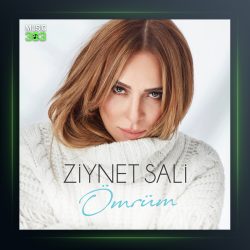 آهنگ Ömrüm از زینت سالی