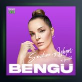 آهنگ Sevdam Ağlıyor از بنگو