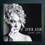 آلبوم Chichek Gibi از آیچین آسان