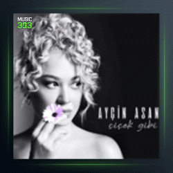 آلبوم Chichek Gibi از آیچین آسان