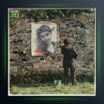 آلبوم Nilüfer 79 از نیلوفر