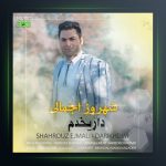 آهنگ داریخدم از شهروز اجمالی