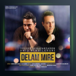 آهنگ دلم میره از یوسف آقایارزاده و امید اسماعیل