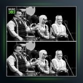 آهنگ گل ریحانی از ناصر وحدتی