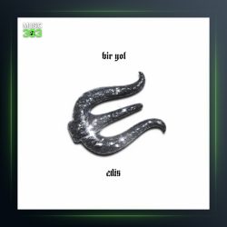 آهنگ Bir Yol از ادیس