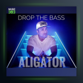 آهنگ داوای داوای از دی جی علی گیتور