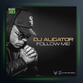 آهنگ تورو میخوام از دی جی علی گیتور