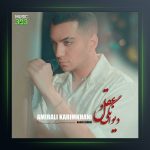 آهنگ امیرعلی کریمخانی دیوانگی و عقل